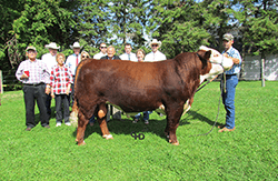 a large bull stands in the grass with a family of people standing proudly next to it